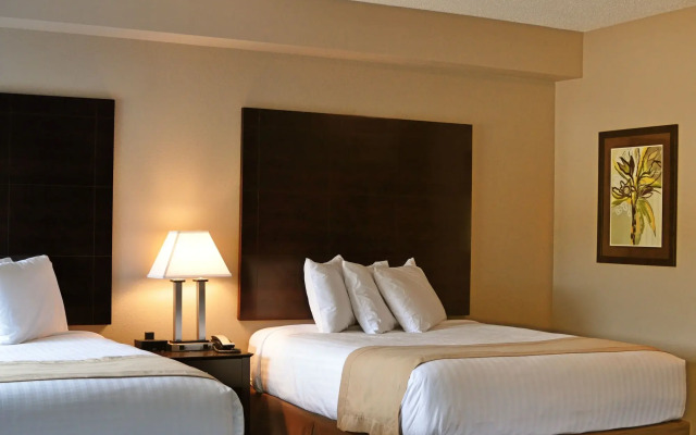 Qube Hotel