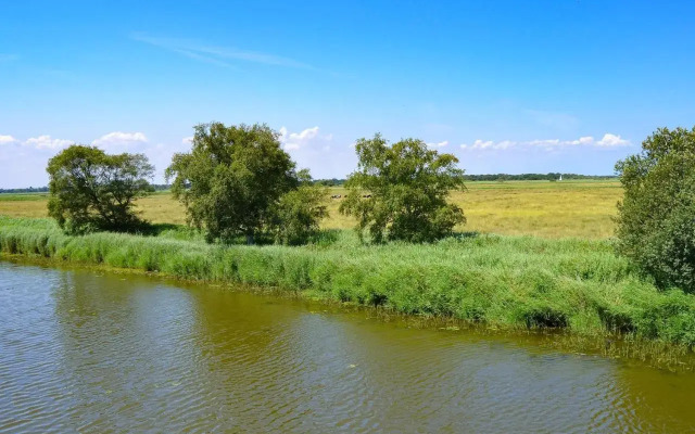 Heigham View