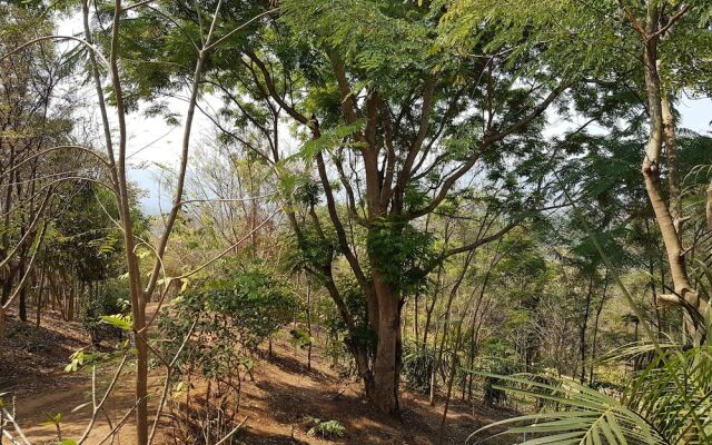 Plantation View Camping