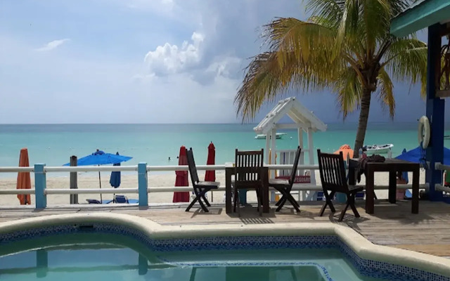 Negril Palms