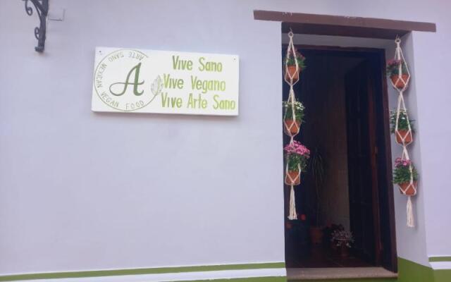 Arte Sano Hotel San Cristobal