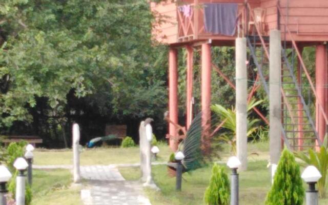 Sigiri Royal Point Tree House