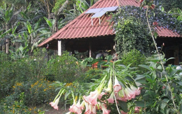 Finca Neblina del Bosque