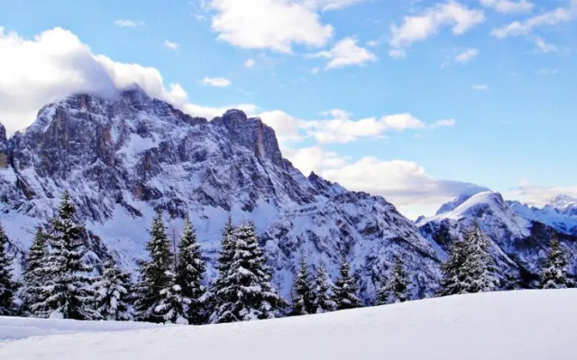 Appartamento Saviner di Laste