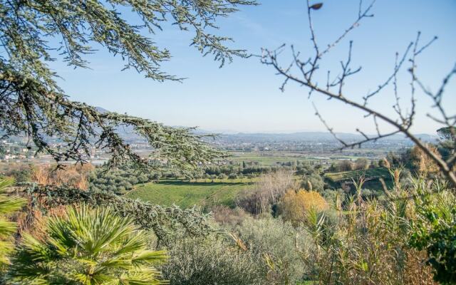 Agriturismo Villa Pedone