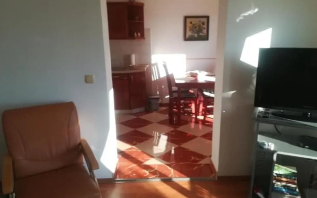 Pero - 50 m From sea - A1 Ljiljana