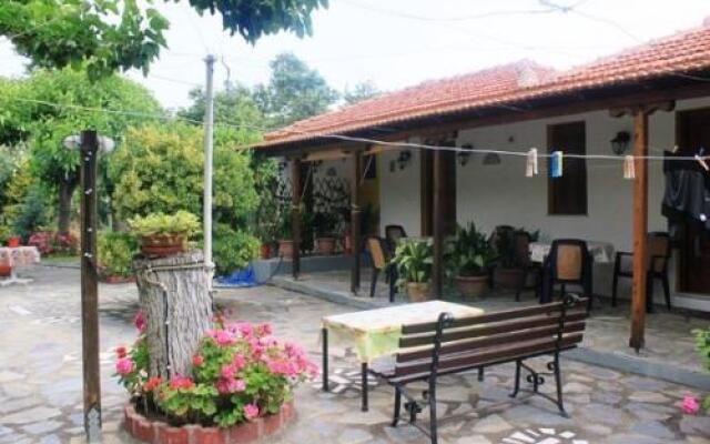 The Garden