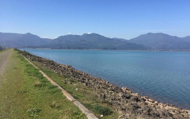 Cabañas Alfa Colbun Machicura