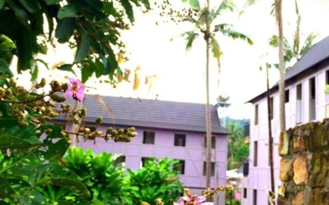 Lilac Cottage Homestay