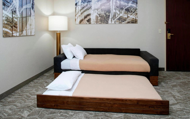 SpringHill Suites by Marriott Frankenmuth