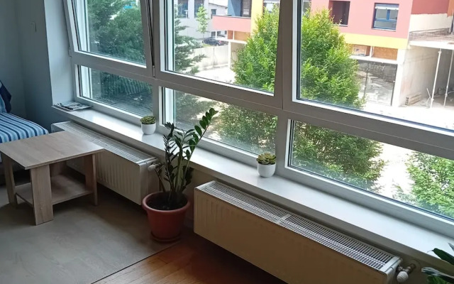 Apartment Cankareva
