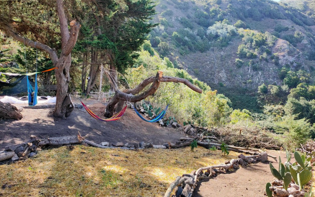 Free Canari - Los Alamos 8