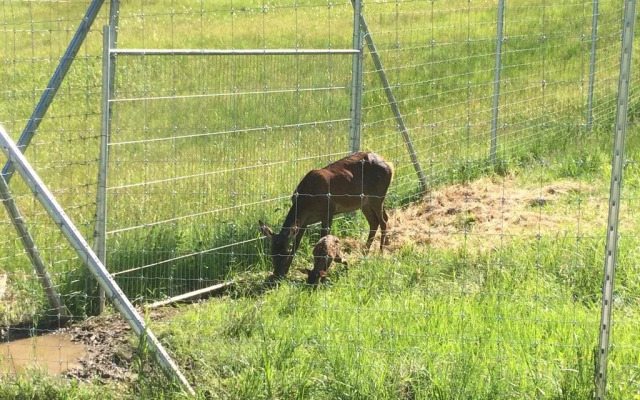 Berghof Haselsberger