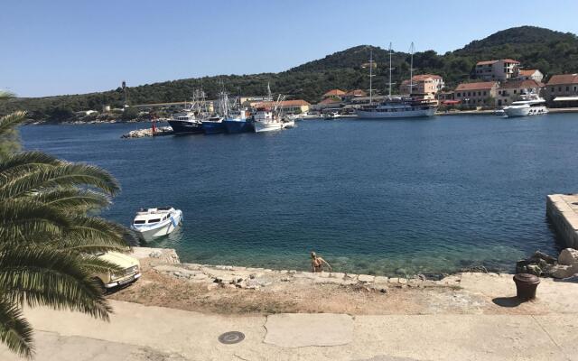 Svetka - 10m From the sea - A3