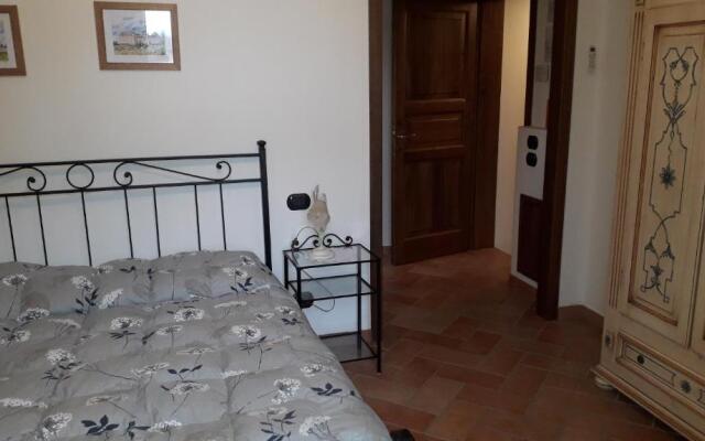 Sulla Strada Di San Francesco