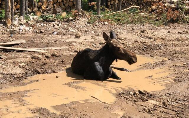 Yellowstone Crossing Lodge