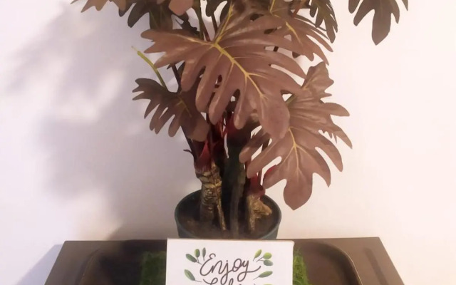 Tiny studio with pool, jogging track, gym and Mall