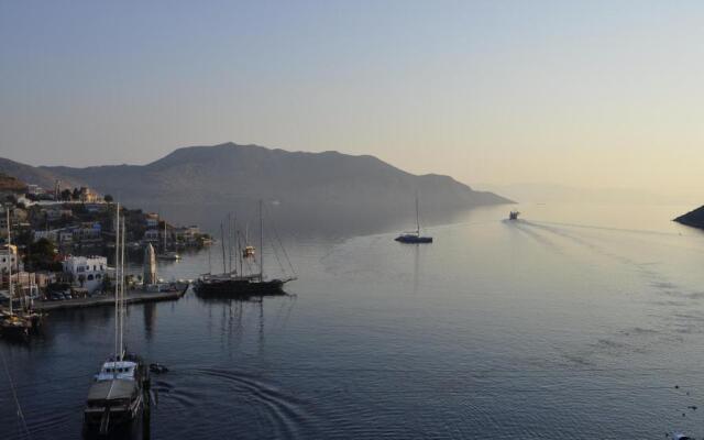 Palm Tree Studio Symi