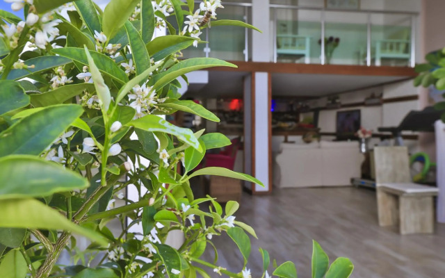 Hotel Sonne - Adults Only
