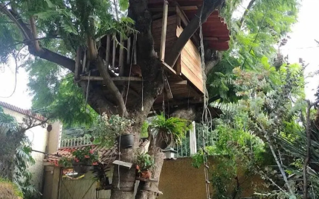 Casita del Arbol