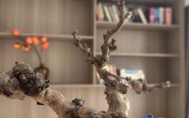 Xianju Qingke Hotel (Heshanju Visitor Center Branch)