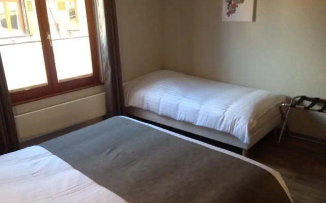 Hôtel Colmar Vignes