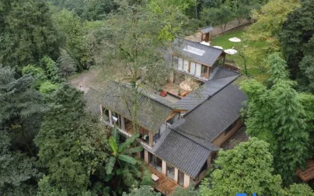 Zen Ju Qing Cheng Mountain – Outside – Chengdu