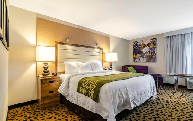 Comfort Inn Raleigh Midtown