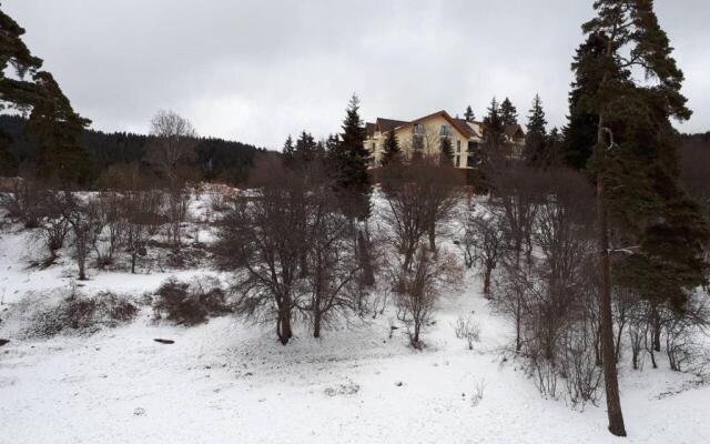 EP Apartment in Mgzavrebi Bakuriani