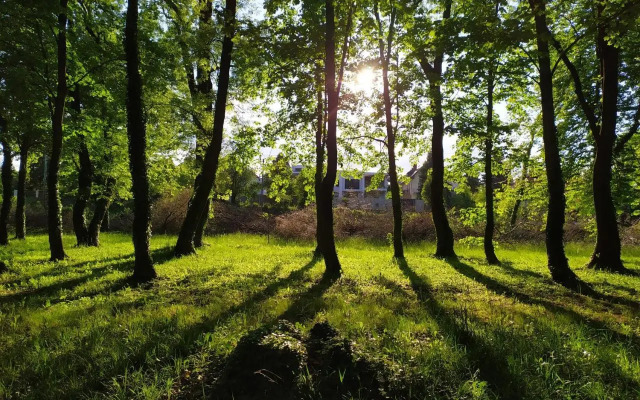 Sirály apartman