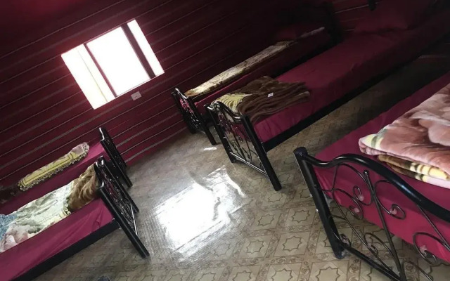 Alamer Hostel Camp