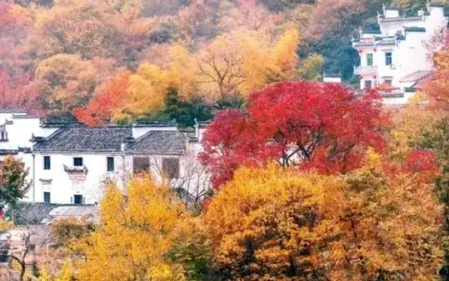 Xinyi Inn