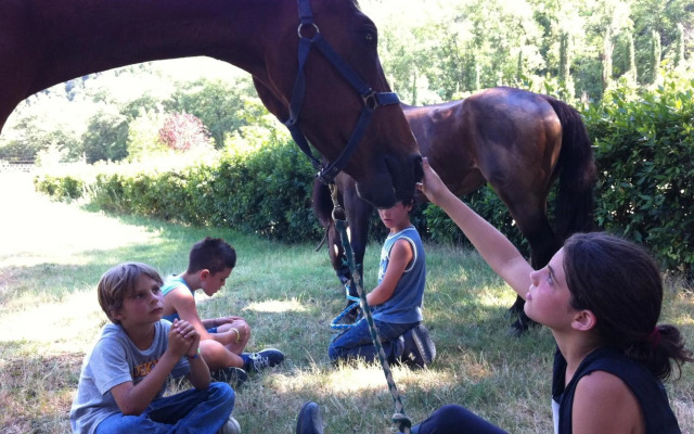 Tenuta dei Cavalieri
