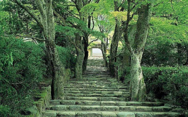 Kyoto City Hotel