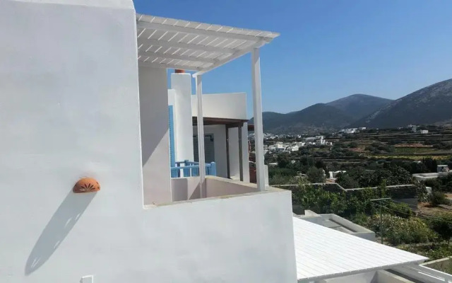 Sofia's Studios