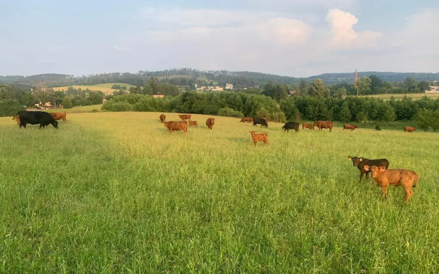 Farma u Prokopů Humpolec
