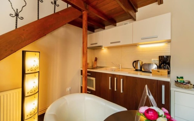 Select City Center Apartments Braşov