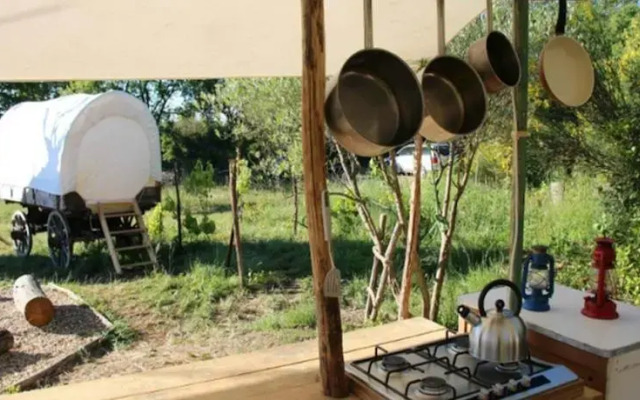 Tipis Des Oliviers