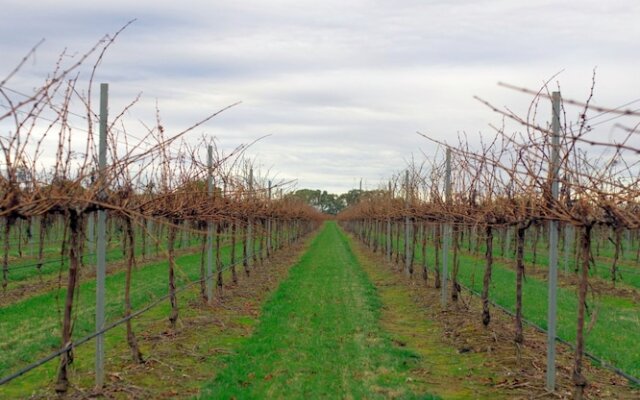Yalumba Menzies Retreat