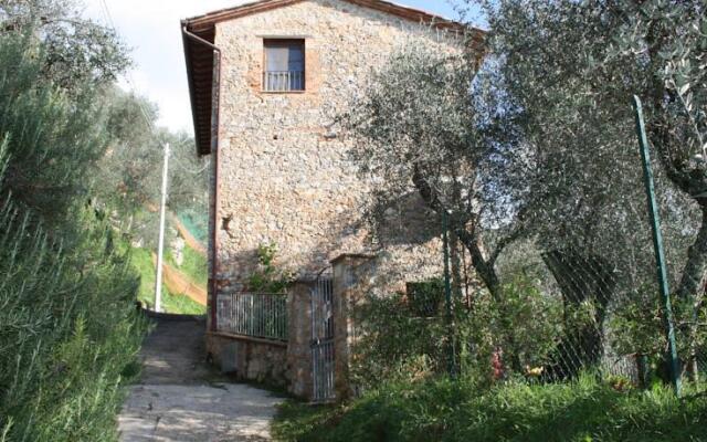 Antico Oliveto