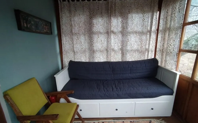 Torrhebia Dag Evi