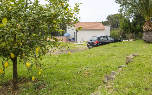 Cotoncello