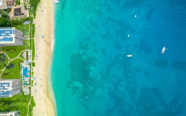 Whaler Collection by KBM - 2 Units (1211/1218)