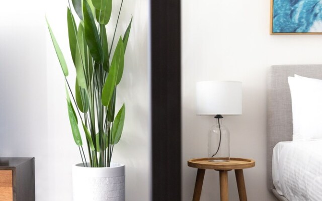 The Surry Apartments by Urban Rest