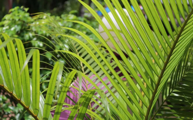 OYO StayOut Casino Palms Baga