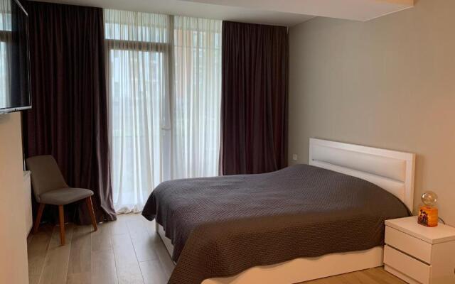 Comfortable Apartment near Didveli