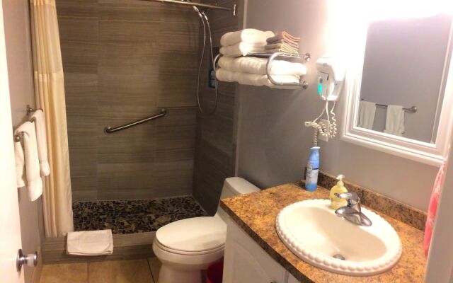 Tropical Oasis Condos