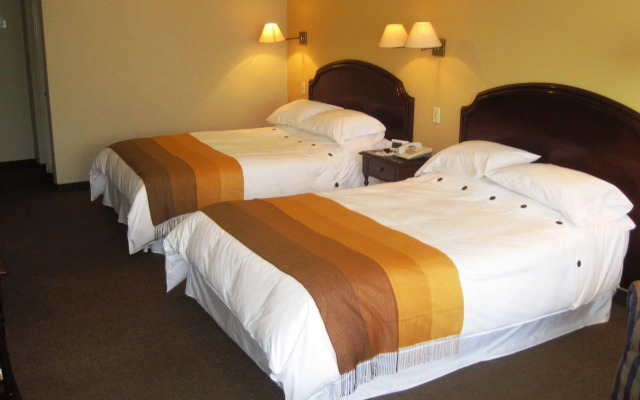 Suites Plaza Las Flores