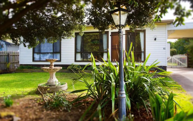 Bindi - Pet Friendly