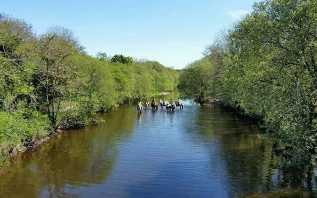 Banada Stables and B&B